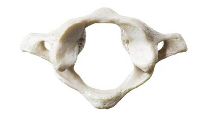 77a1ecff 92b9 44aa 857c 1c613bbfd841